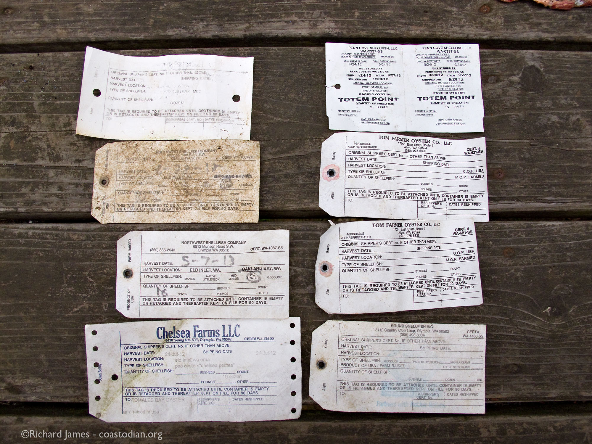 Tags from oyster bags shipped from Washing State to Marin. Do you know your farmer? Call them at the number you see on the tags above.