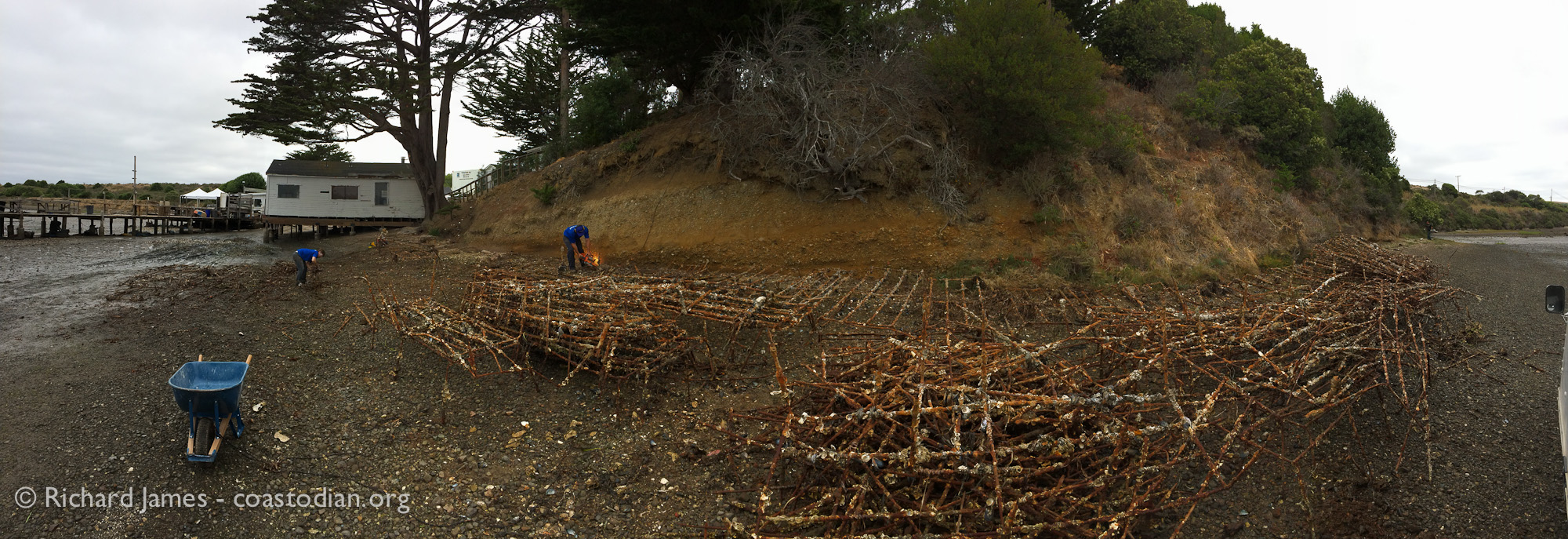 Panorama of the area blighted by Tomales Bay Oyster Company, in the process of being de-blighted.