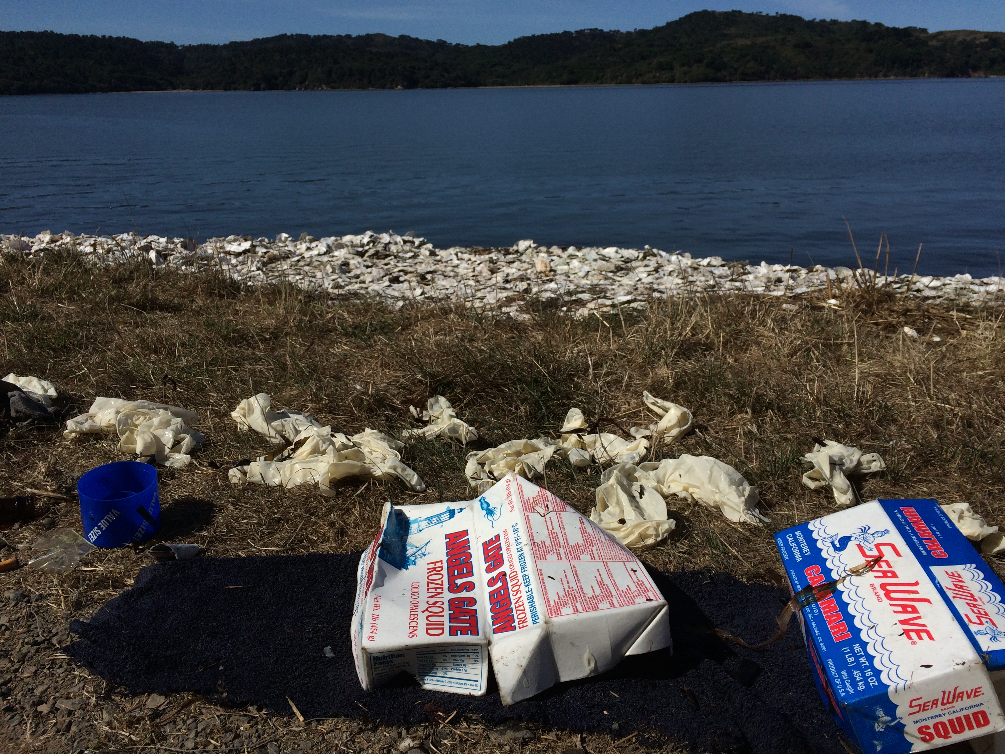 Garbage left along Tomales Bay by fishermen - just south of Tony's Seafood. ©Richard James - coastodian.org