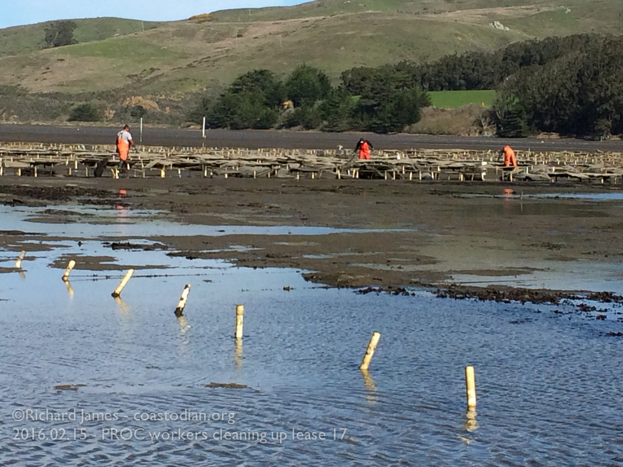 PROC workers undoing years of neglect in Tomales Bay at Walker Creek. ©Richard James - coastodian.org