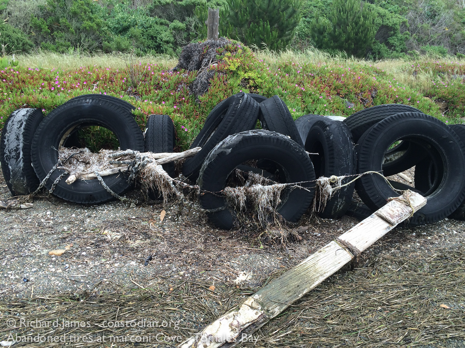 A few of the hundreds of abandoned tires at Marconi Cove - Tomales Bay ©Richard James - coastodian.org