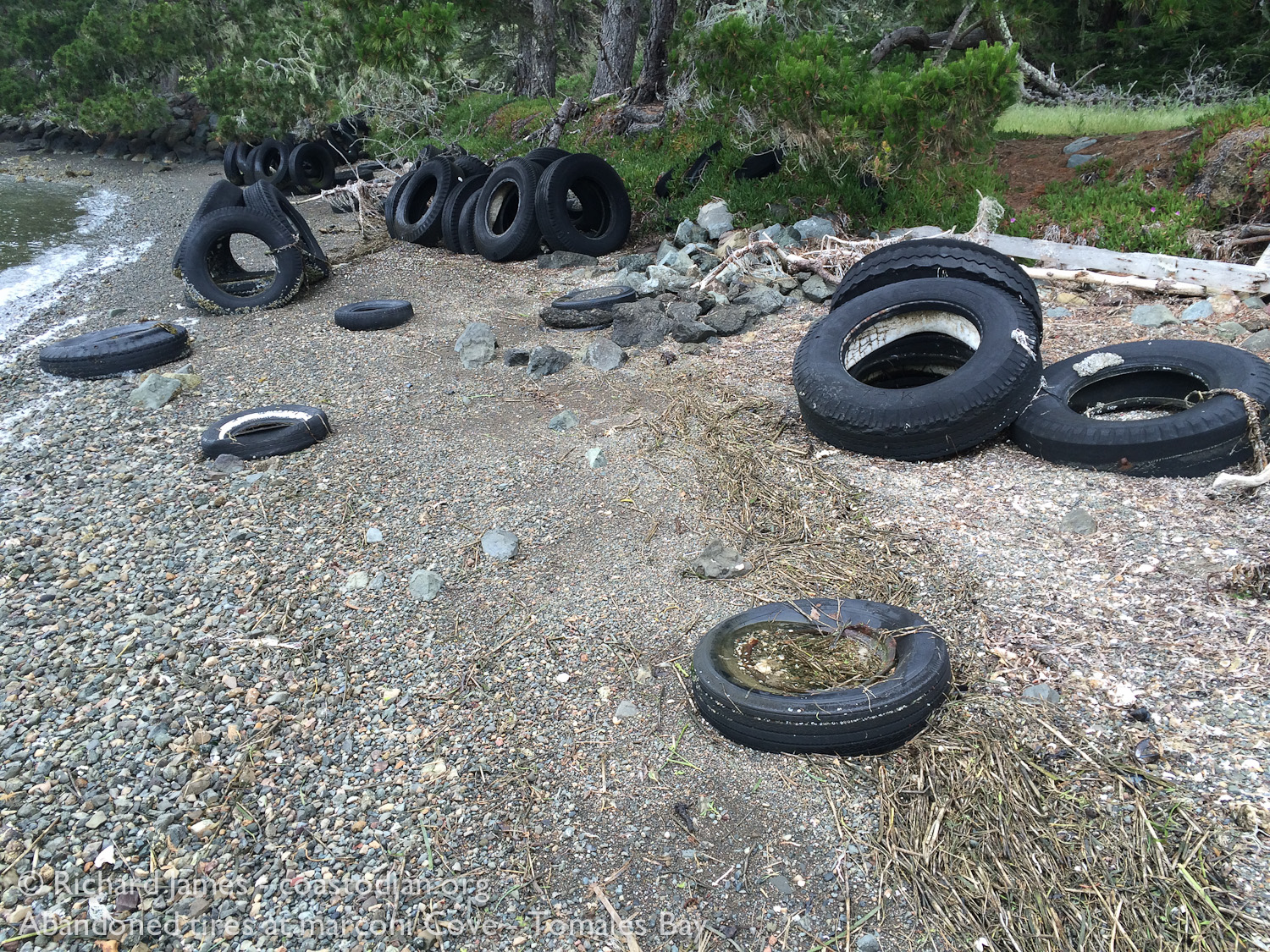 A few of the hundreds of abandoned tires at Marconi Cove - Tomales Bay ©Richard James - coastodian.org